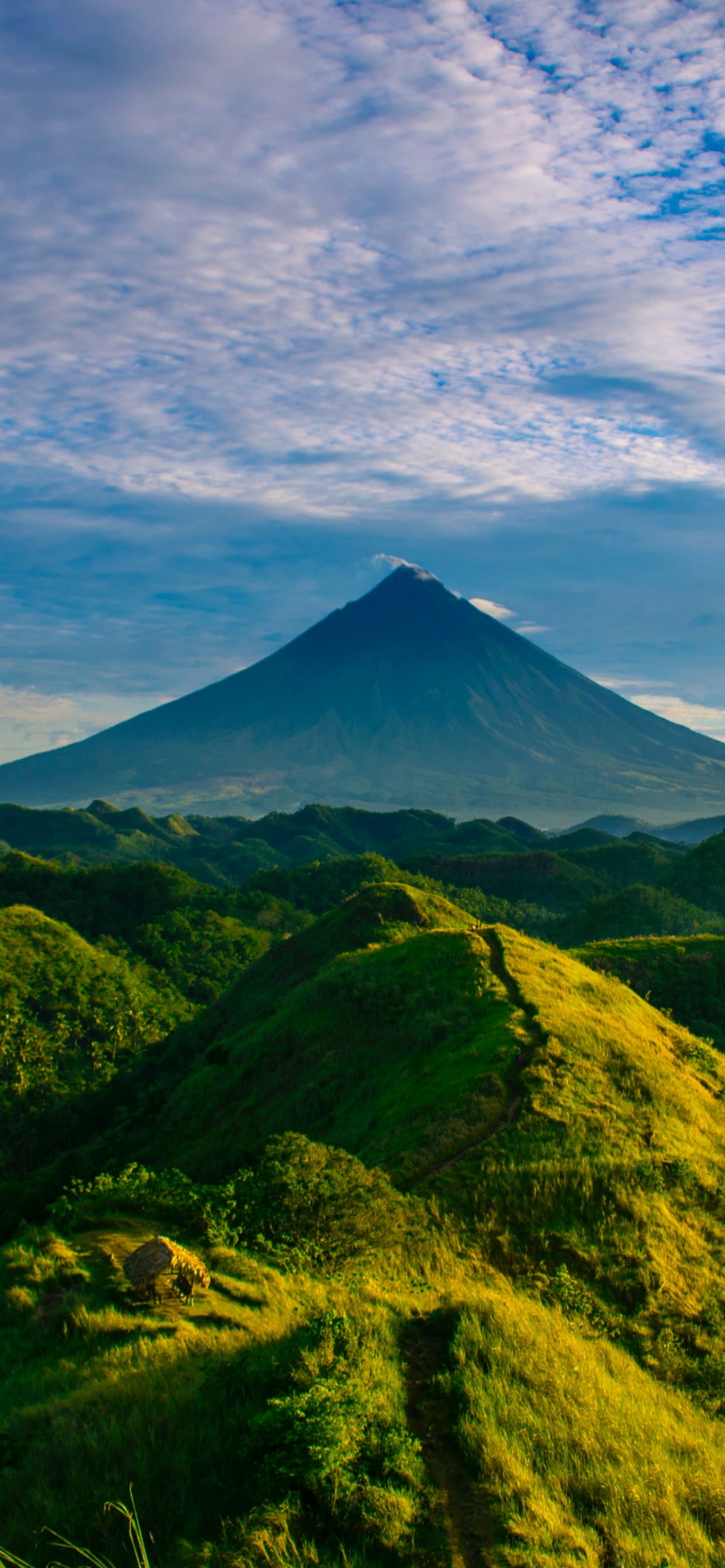 L'écorégion, Feuille, Blue, Paysage Naturel, Highland. Wallpaper in 1242x2688 Resolution