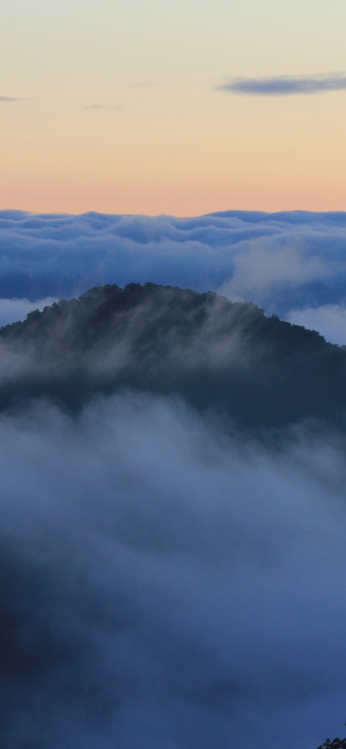 Cumulus, le Parc National De, Mount Scenery, Les Reliefs Montagneux, Brouillard. Wallpaper in 1125x2436 Resolution
