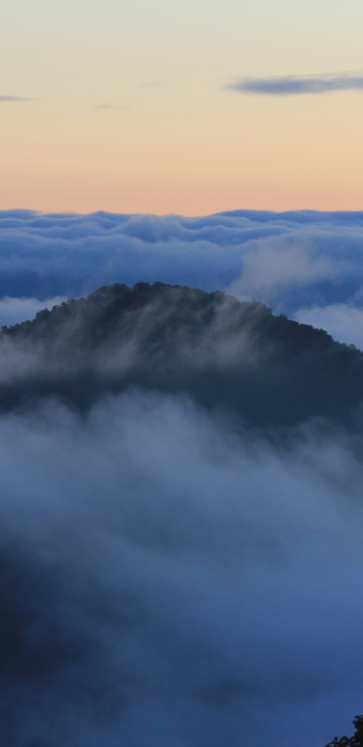 Cumulus, le Parc National De, Mount Scenery, Les Reliefs Montagneux, Brouillard. Wallpaper in 1440x2960 Resolution