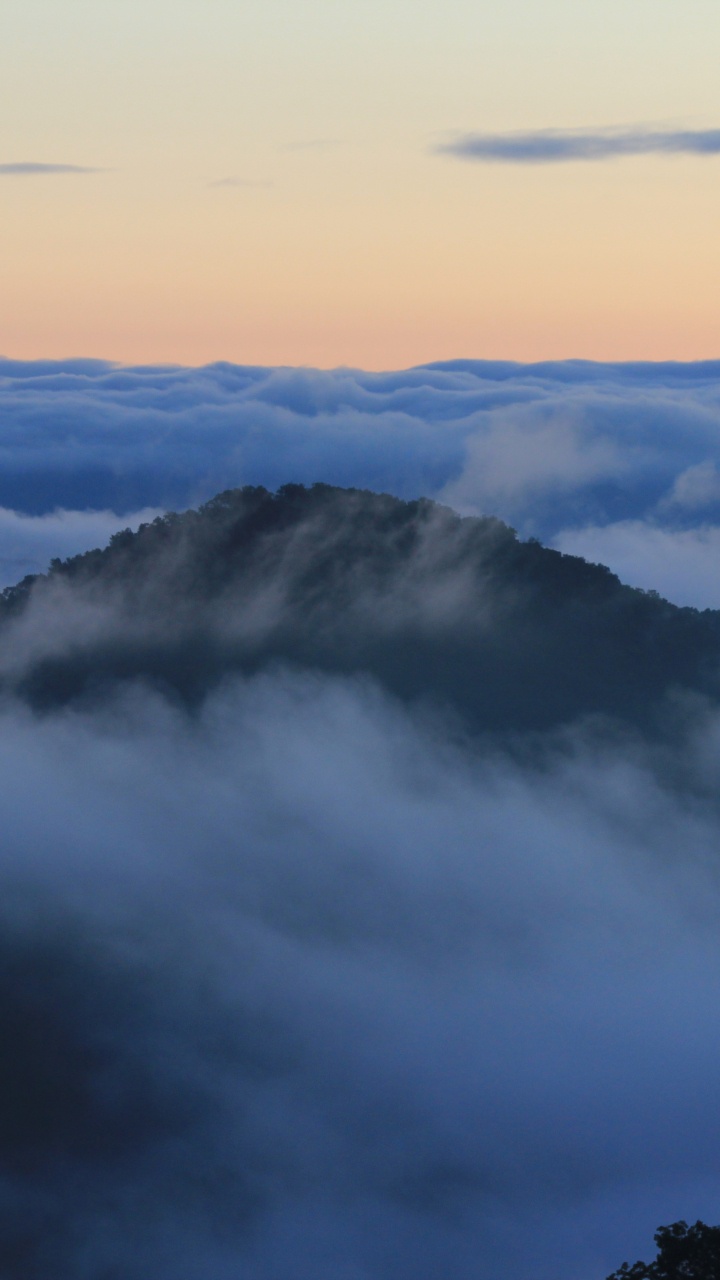 Cumulus, le Parc National De, Mount Scenery, Les Reliefs Montagneux, Brouillard. Wallpaper in 720x1280 Resolution