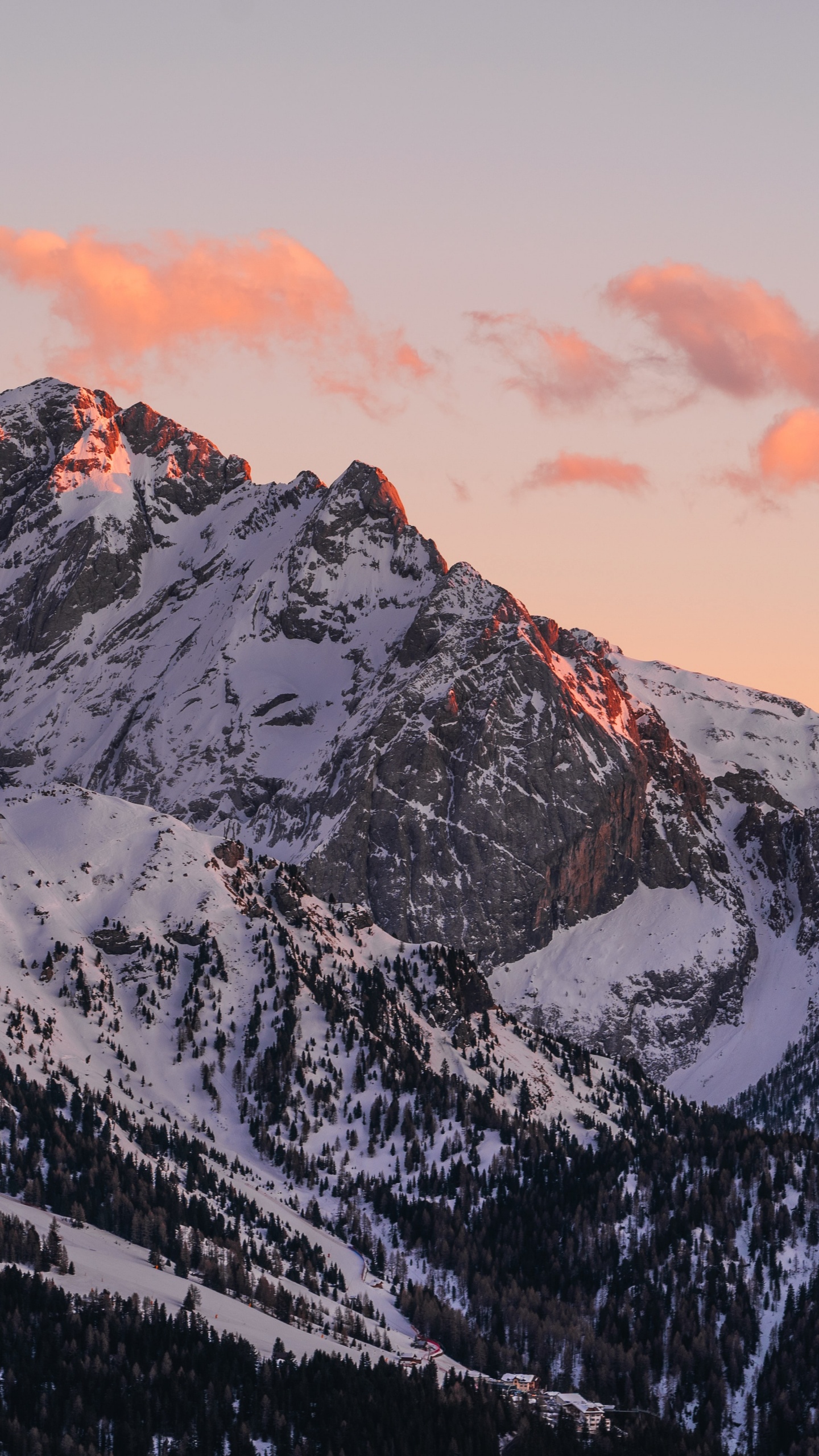 Joie, Projecteur, Cinéma Chez Vous Eu, Home Cinéma, Ultra Courte Portée. Wallpaper in 1440x2560 Resolution