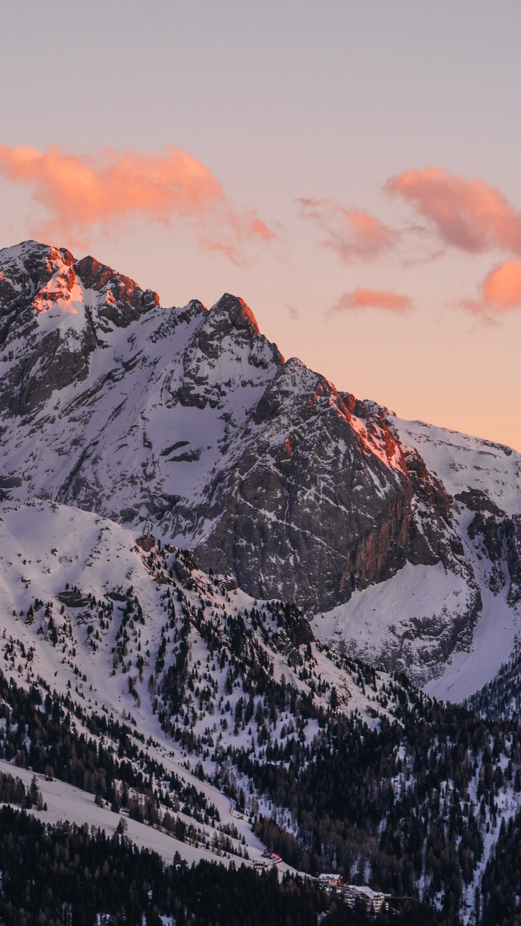 Joy, Projector, Cinema in Your Home Eu, Home Cinema, Ultra Short Throw. Wallpaper in 750x1334 Resolution