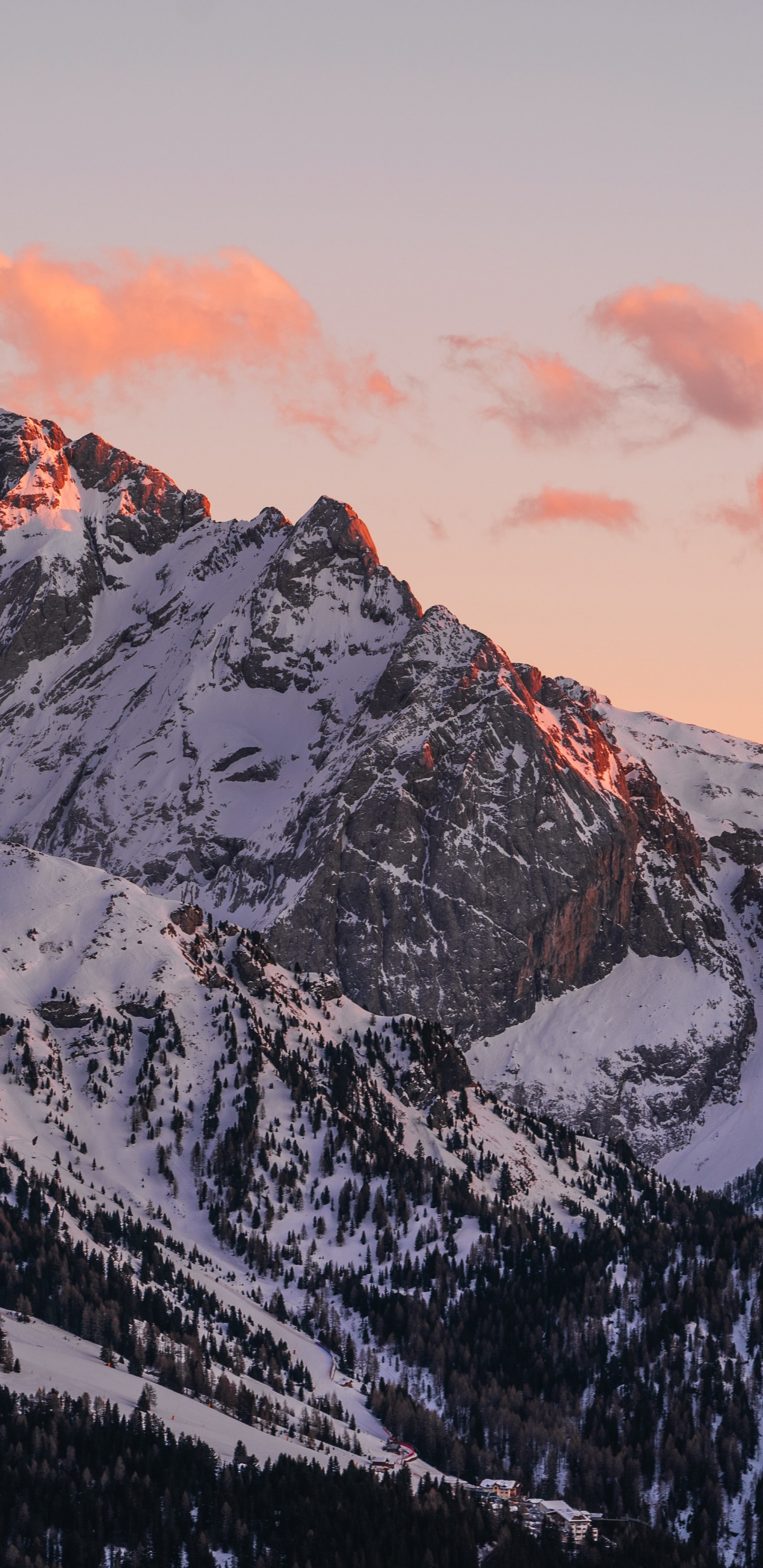 喜悦, 投影仪, 气氛, 自然景观, 余辉 壁纸 1440x2960 允许