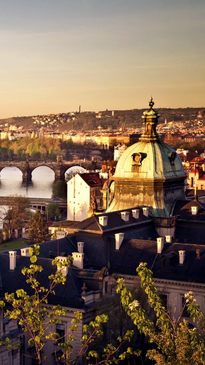 Pont en Béton Brun Au-dessus de la Rivière Pendant la Journée. Wallpaper in 720x1280 Resolution