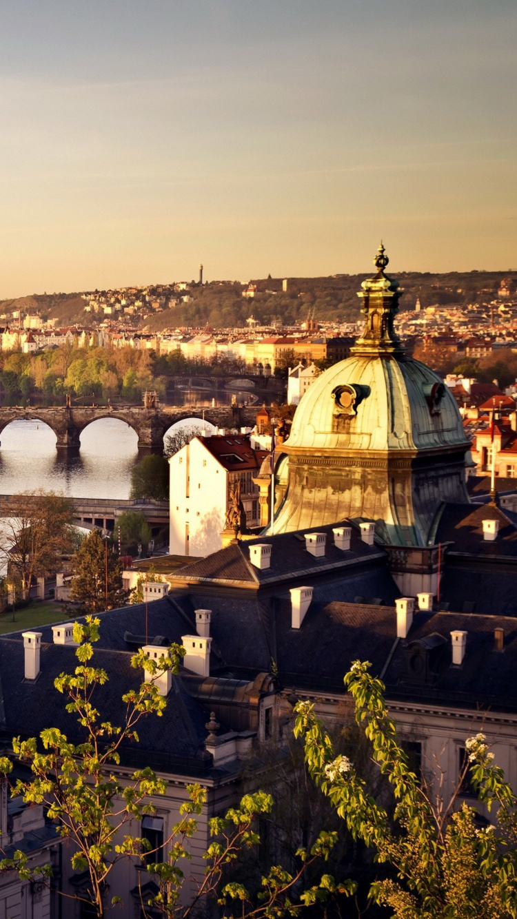 Pont en Béton Brun Au-dessus de la Rivière Pendant la Journée. Wallpaper in 750x1334 Resolution