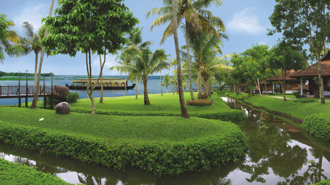 Green Palm Trees Near Body of Water During Daytime. Wallpaper in 1366x768 Resolution