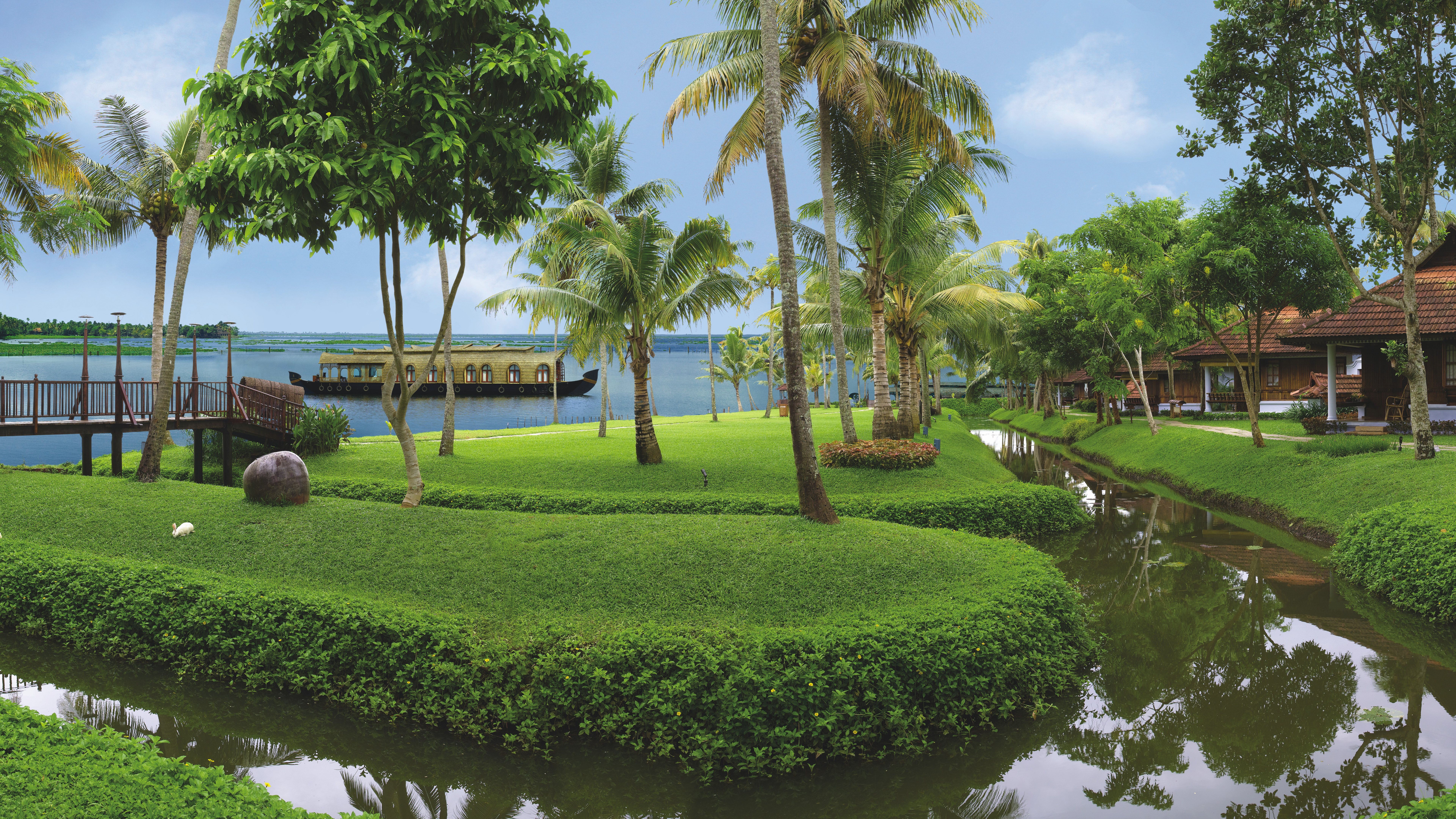 Green Palm Trees Near Body of Water During Daytime. Wallpaper in 7680x4320 Resolution