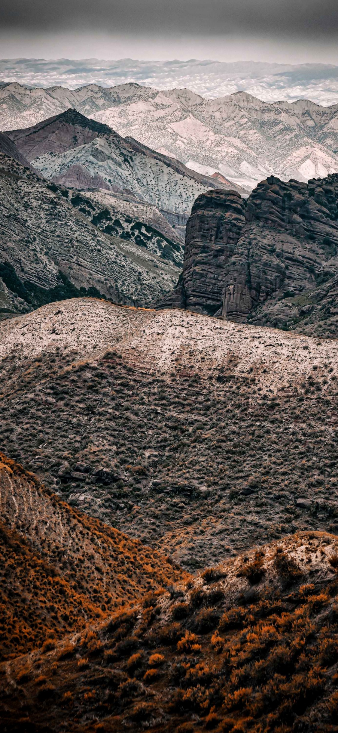 L'écorégion, Paysage Naturel, Environnement Naturel, Highland, Pente. Wallpaper in 1125x2436 Resolution