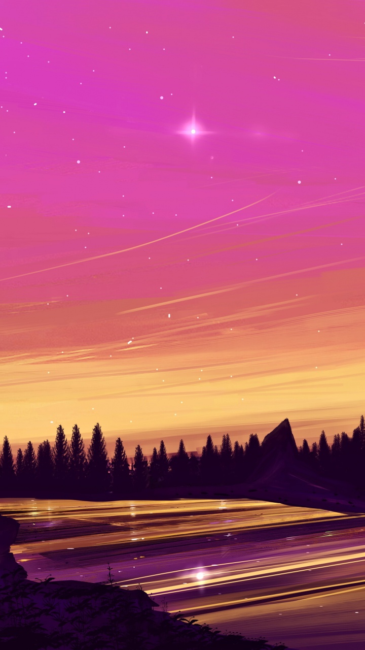 Silhouette of Trees During Sunset. Wallpaper in 720x1280 Resolution