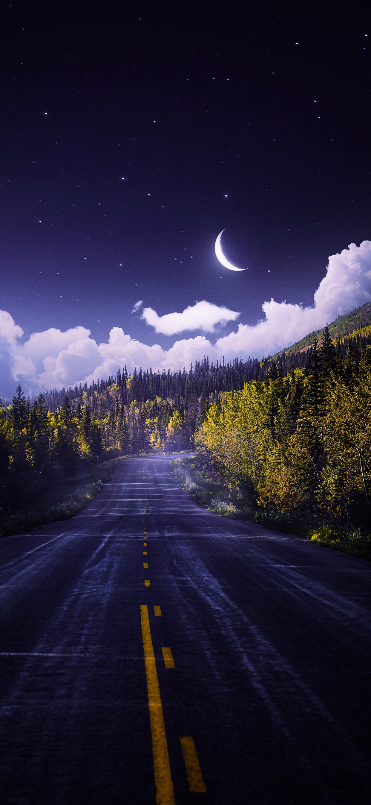 Cloud, Atmosphere, Plant, Ecoregion, Nature. Wallpaper in 1242x2688 Resolution