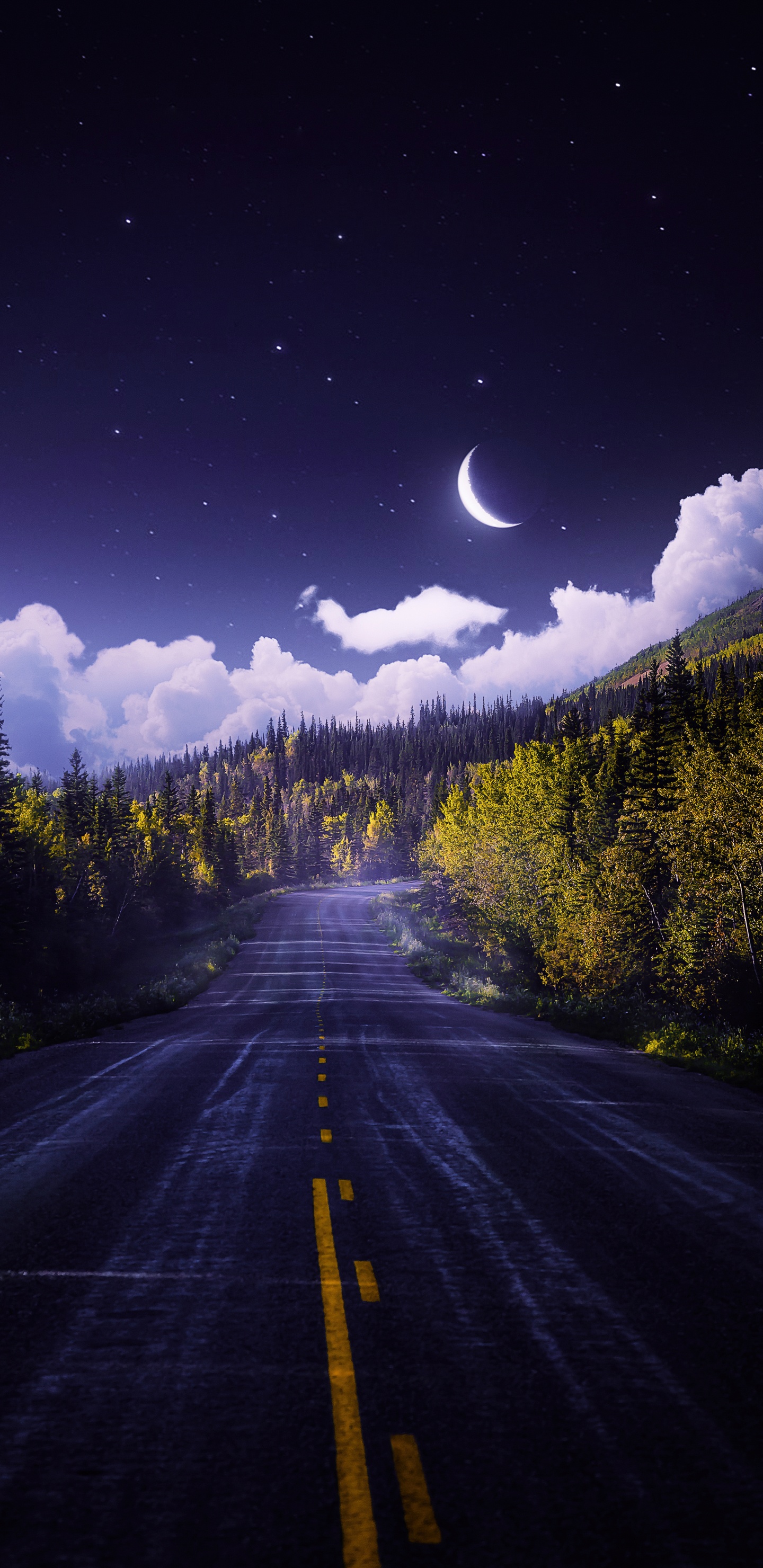 Cloud, Atmosphere, Plant, Ecoregion, Nature. Wallpaper in 1440x2960 Resolution