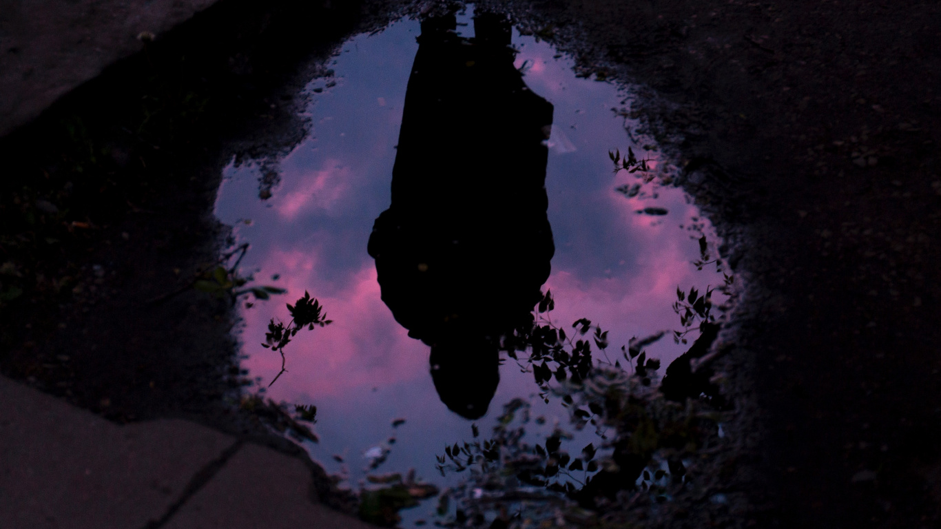 Reflejo de Agua Morada y Rosa. Wallpaper in 1366x768 Resolution