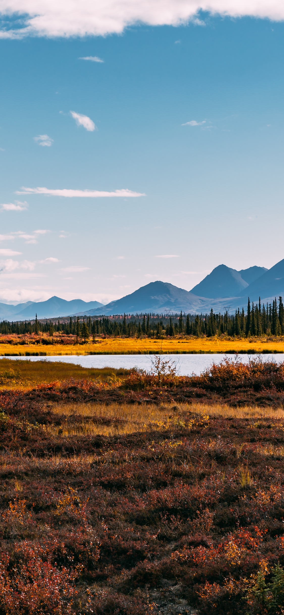 Cloud, Naturlandschaft, Hochland, Baum, Gras. Wallpaper in 1125x2436 Resolution