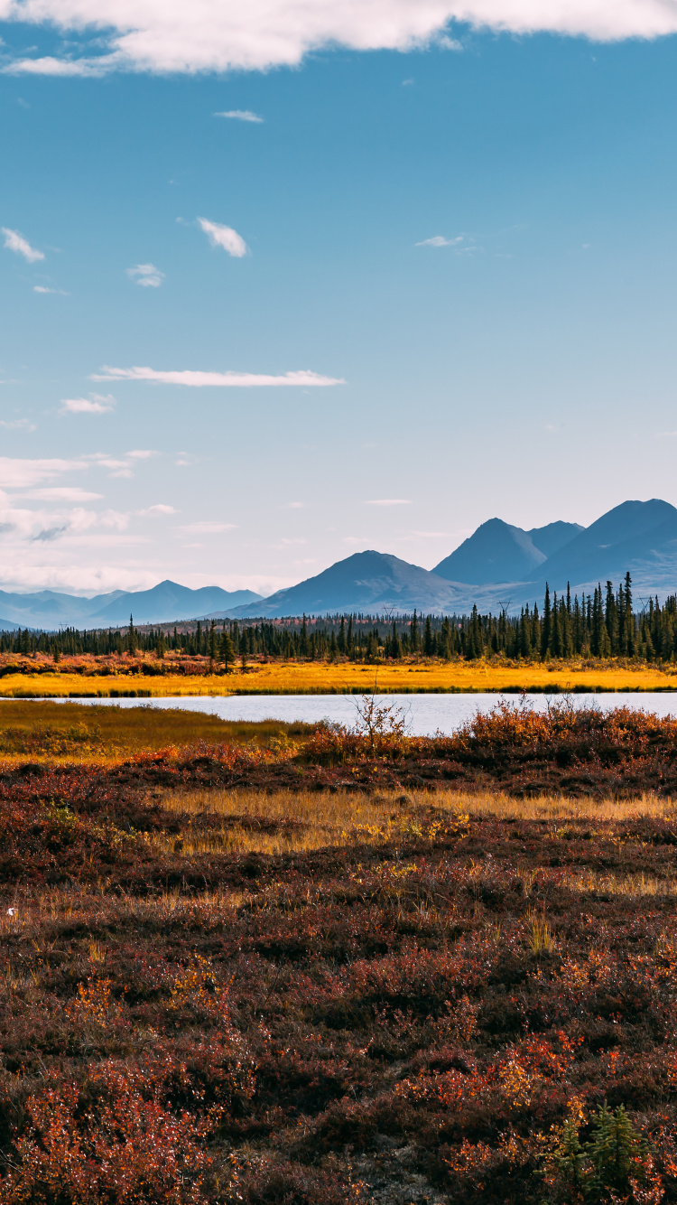 Cloud, Plant, Mountain, Natural Landscape, Highland. Wallpaper in 750x1334 Resolution