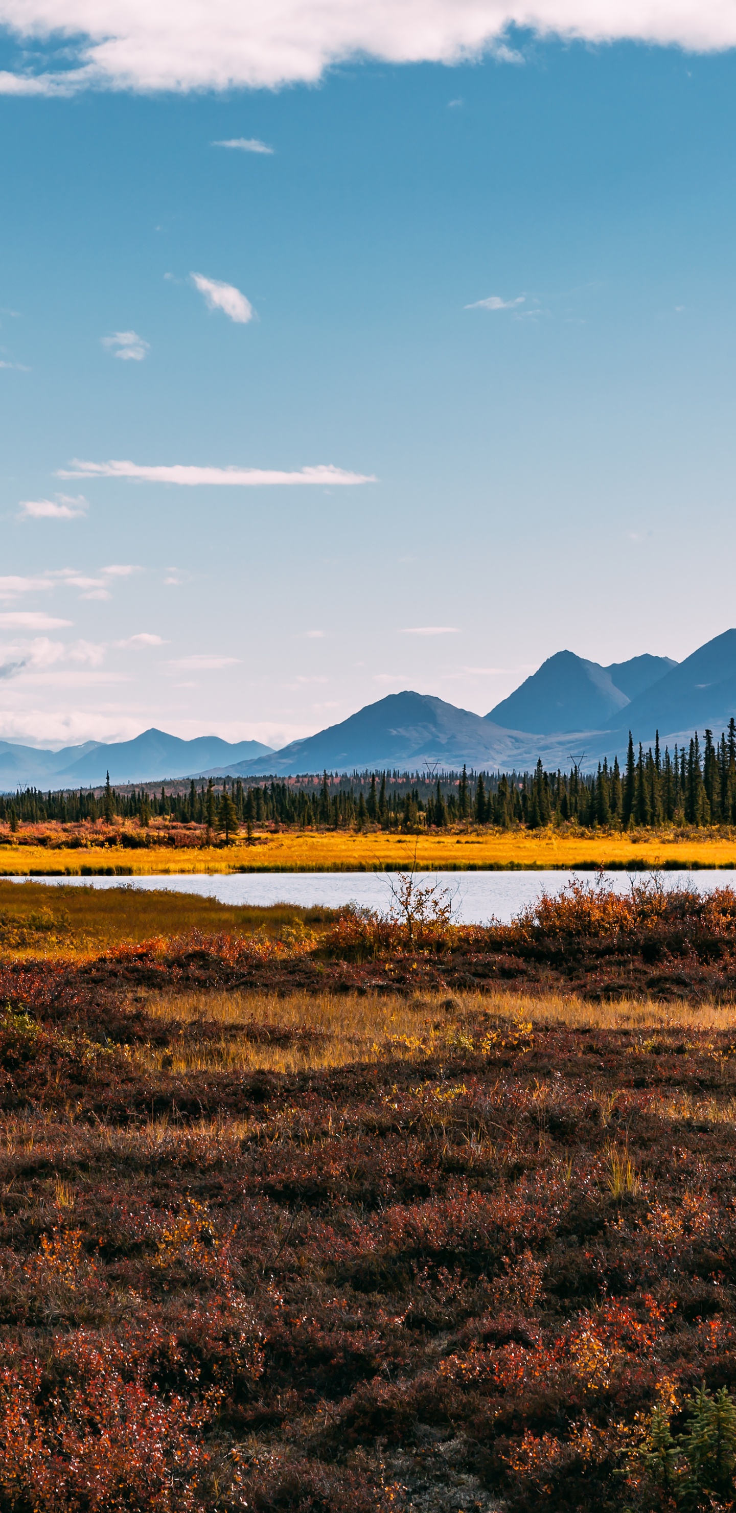 Montaña, Paisaje Natural, Highland, Llanura, Alerce. Wallpaper in 1440x2960 Resolution
