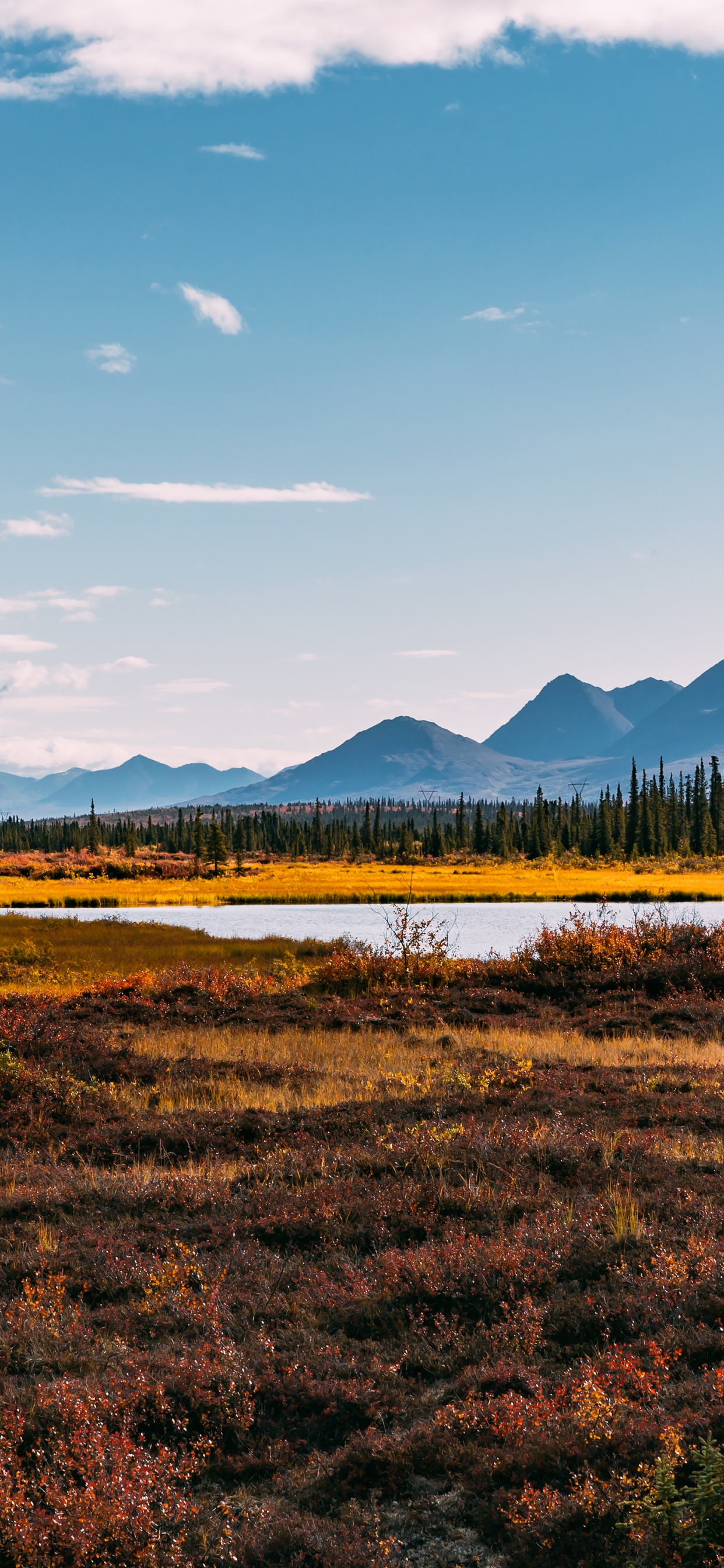 Paysage Naturel, Highland, Plaine, Mélèze. Wallpaper in 1242x2688 Resolution