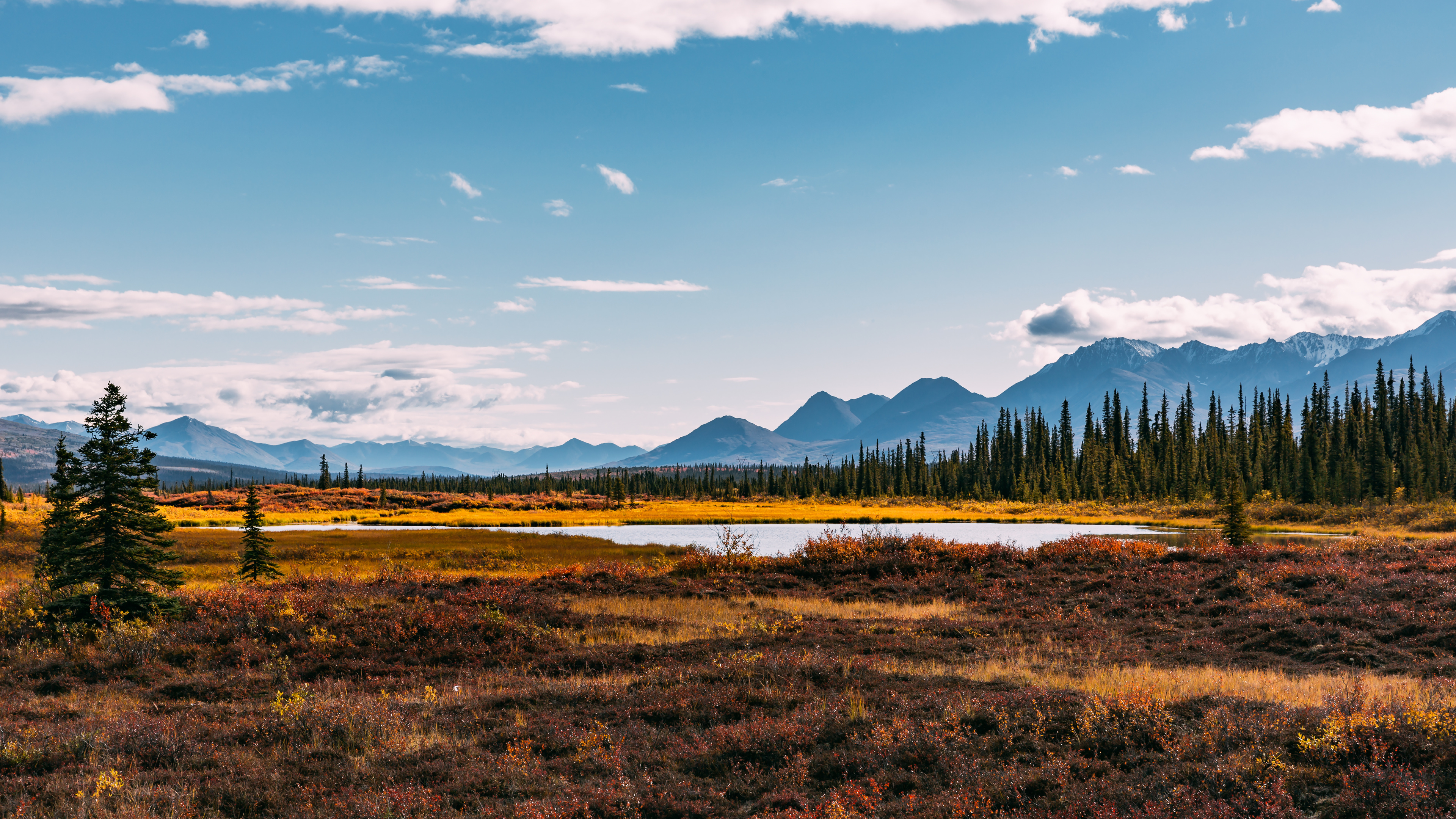 Paysage Naturel, Highland, Plaine, Mélèze. Wallpaper in 3840x2160 Resolution