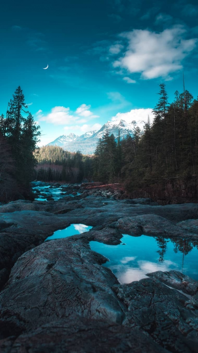 自然景观, 落叶松, 水道 壁纸 750x1334 允许