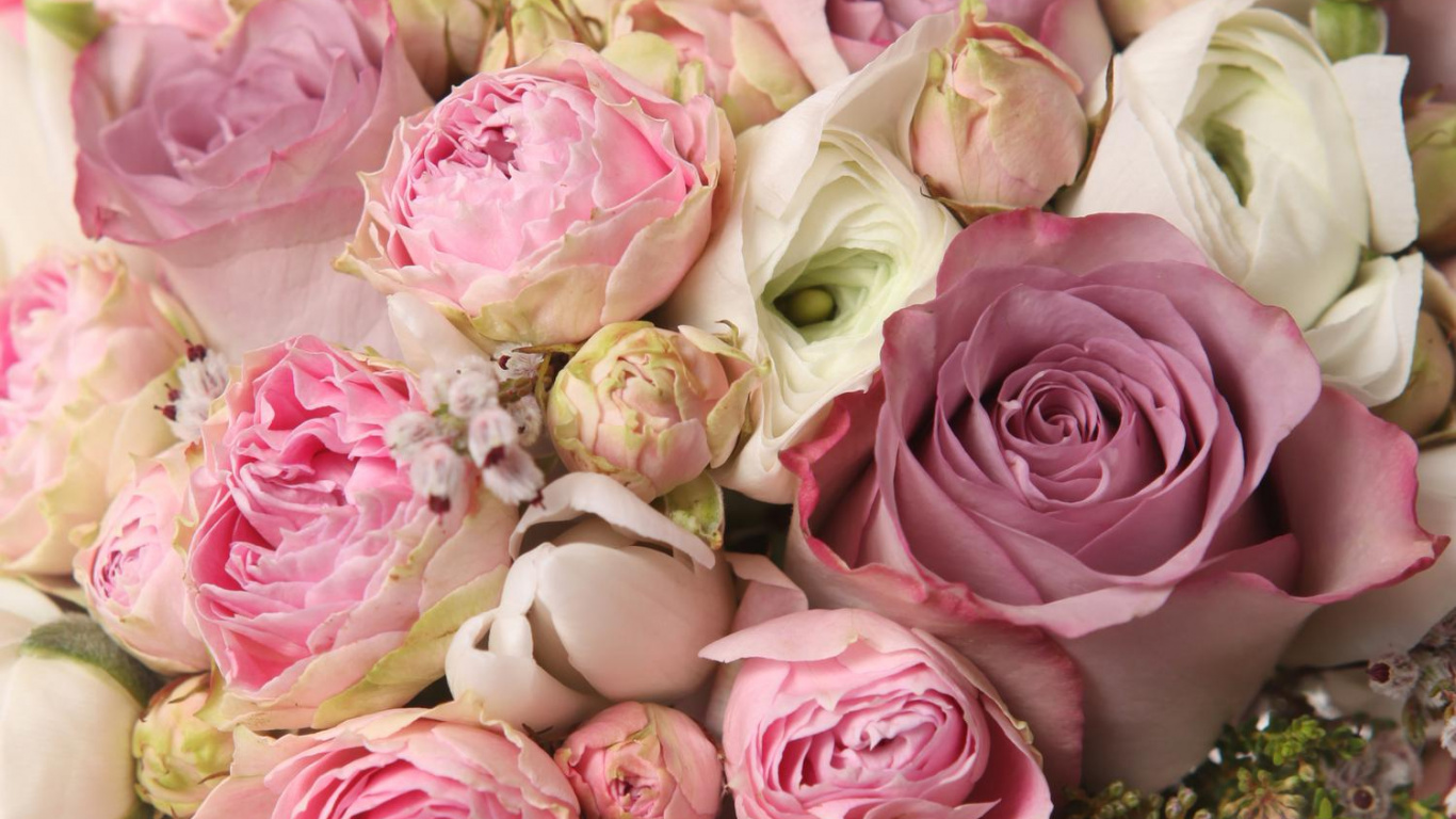 Rosa Rosen Auf Weißem Und Rosa Blumentextil. Wallpaper in 1366x768 Resolution