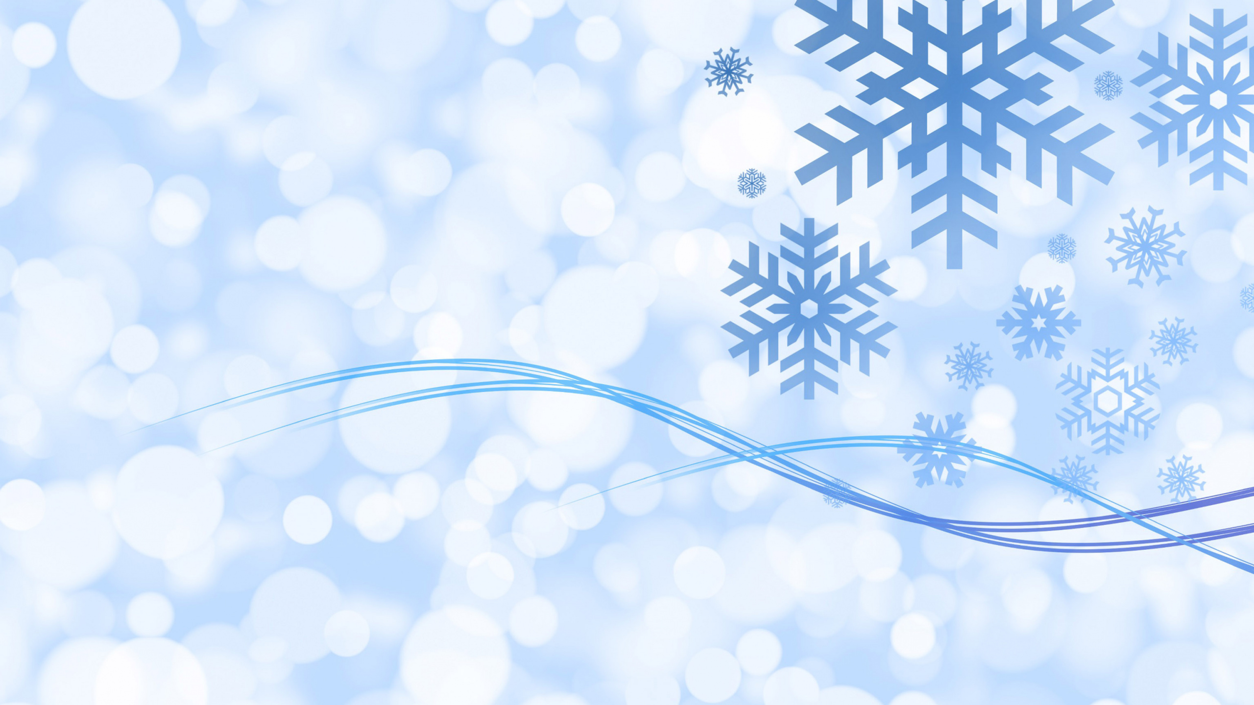 White and Blue Floral Illustration. Wallpaper in 2560x1440 Resolution