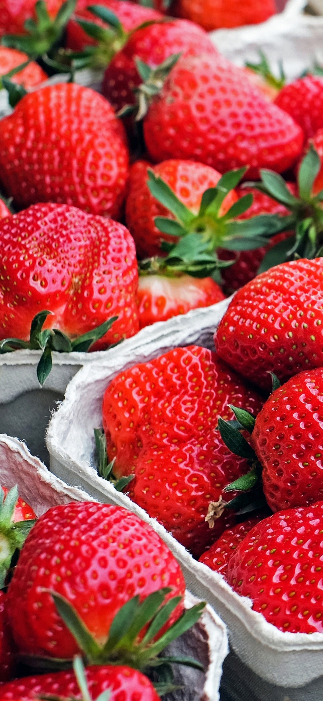 Red Strawberries on White Textile. Wallpaper in 1125x2436 Resolution
