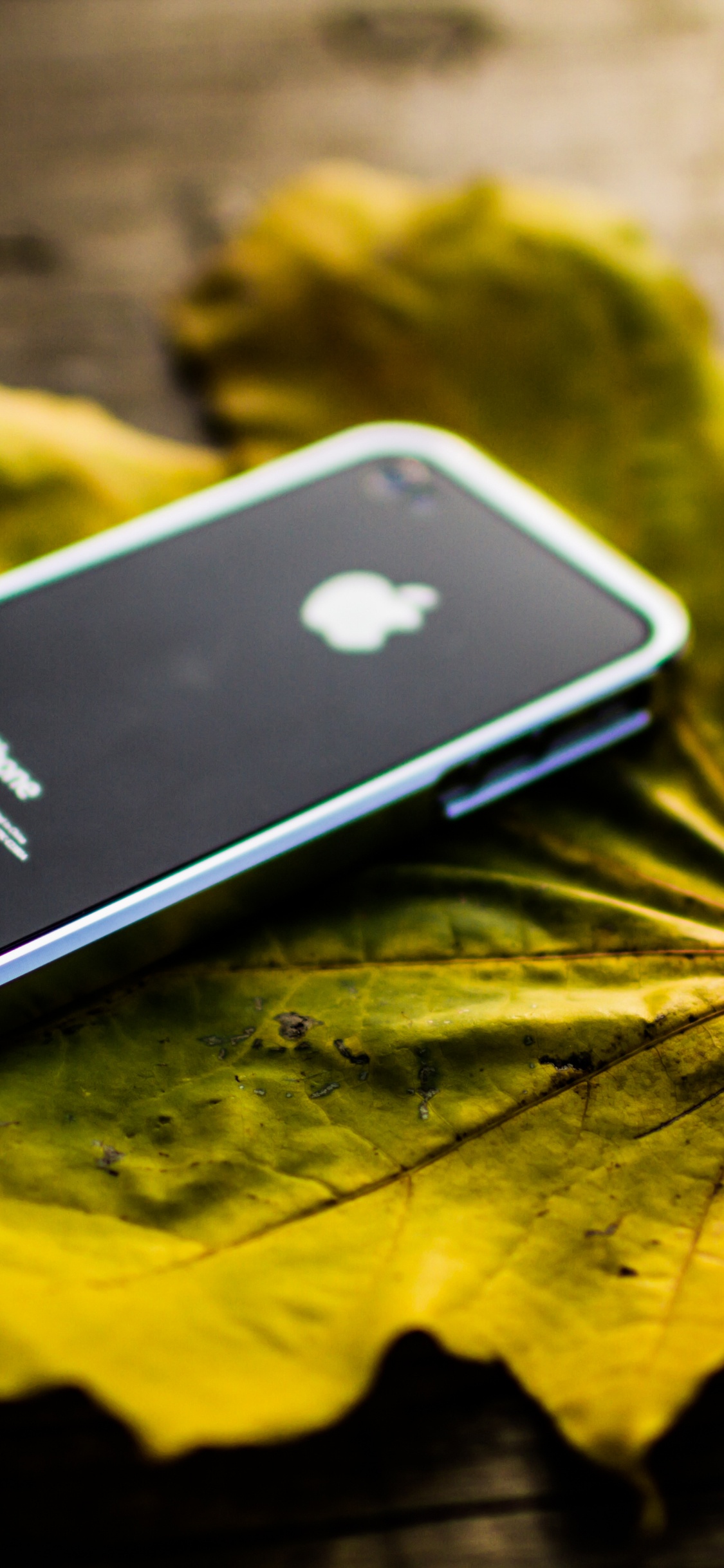 Iphone 5 Noir Sur Feuille D'érable Jaune. Wallpaper in 1125x2436 Resolution