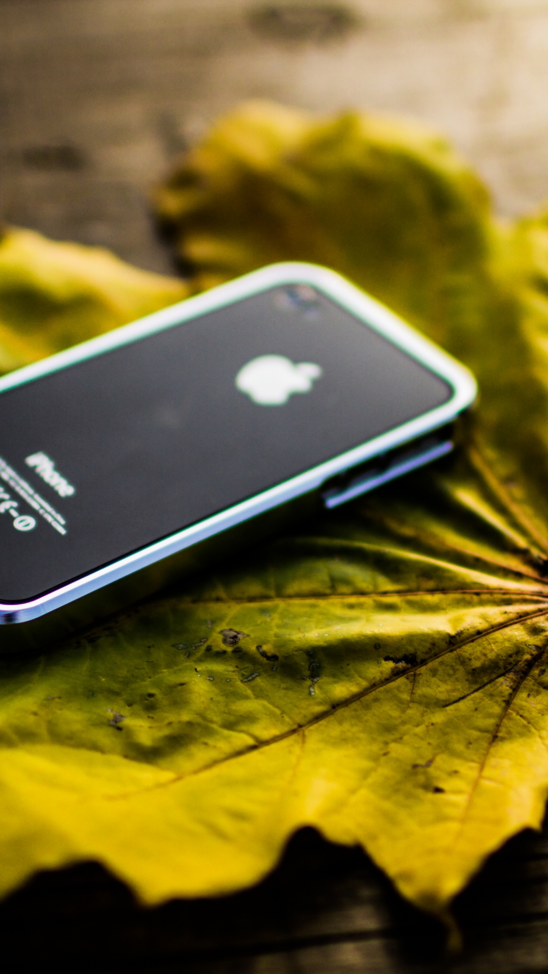 Black Iphone 5 on Yellow Maple Leaf. Wallpaper in 1080x1920 Resolution