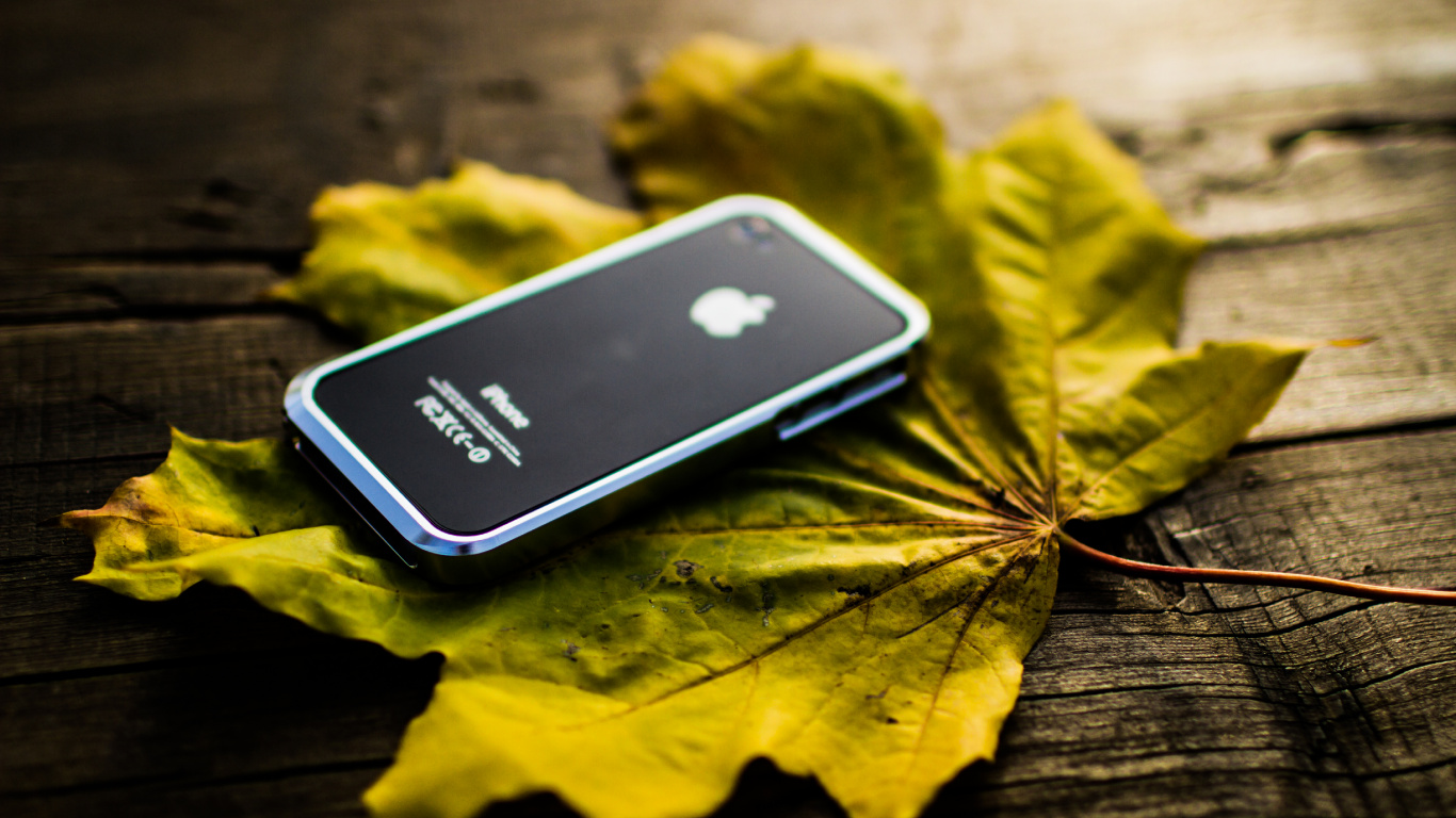 Black Iphone 5 on Yellow Maple Leaf. Wallpaper in 1366x768 Resolution