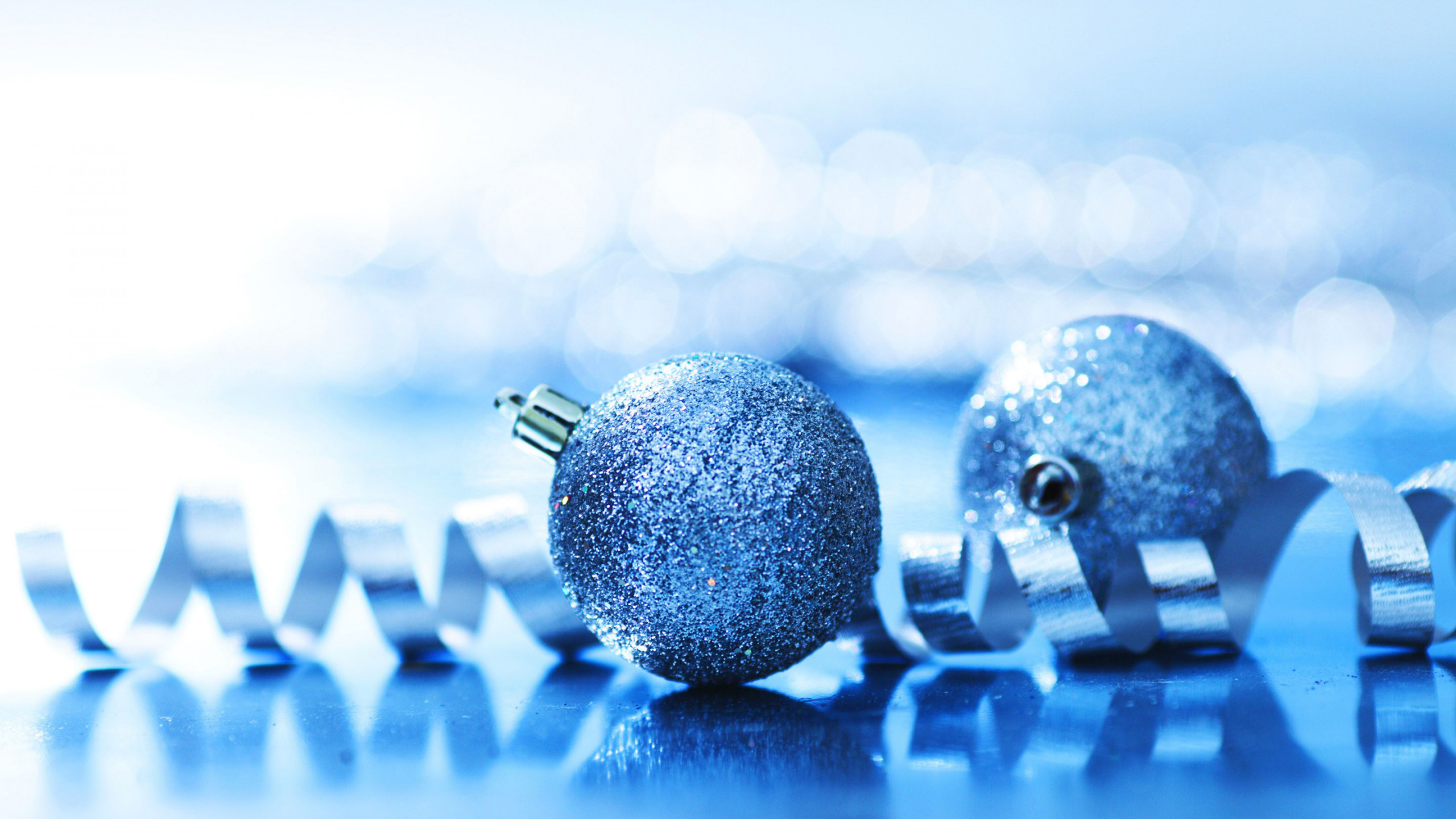 Christmas Day, Blue, Water, World, Best Holiday. Wallpaper in 2560x1440 Resolution