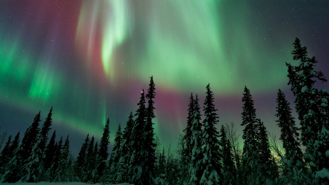 Aurora, Nature, Green, Paysage Naturel, Hiver. Wallpaper in 1366x768 Resolution