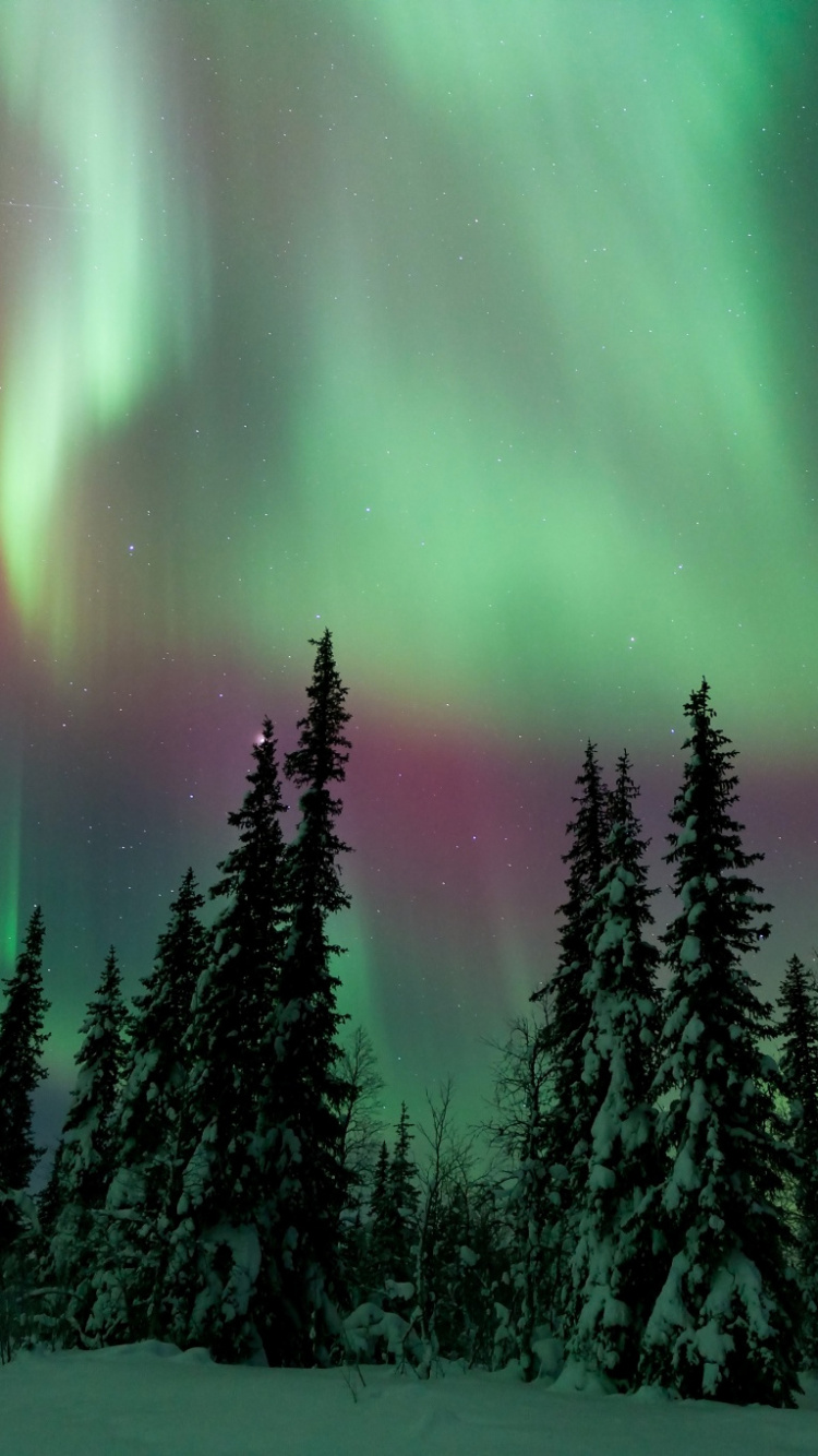 Aurora, Nature, Green, Paysage Naturel, Hiver. Wallpaper in 750x1334 Resolution