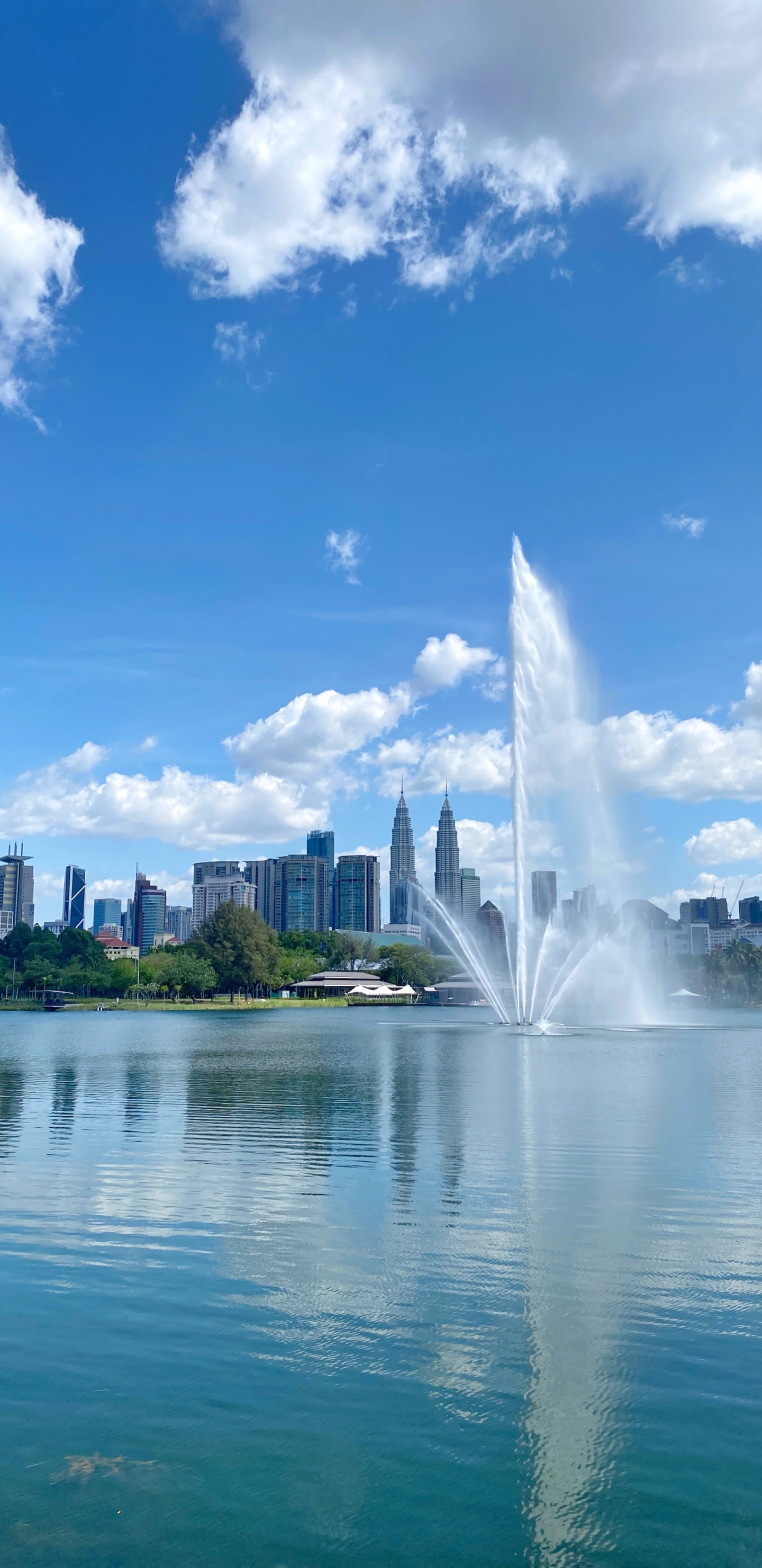 人体内的水, 性质, 流体, 喷泉, 液体 壁纸 1440x2960 允许