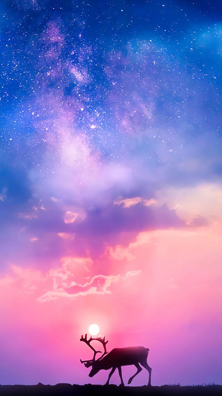 Grpc, Redis, Atmosphère, Lumière, Nature. Wallpaper in 750x1334 Resolution