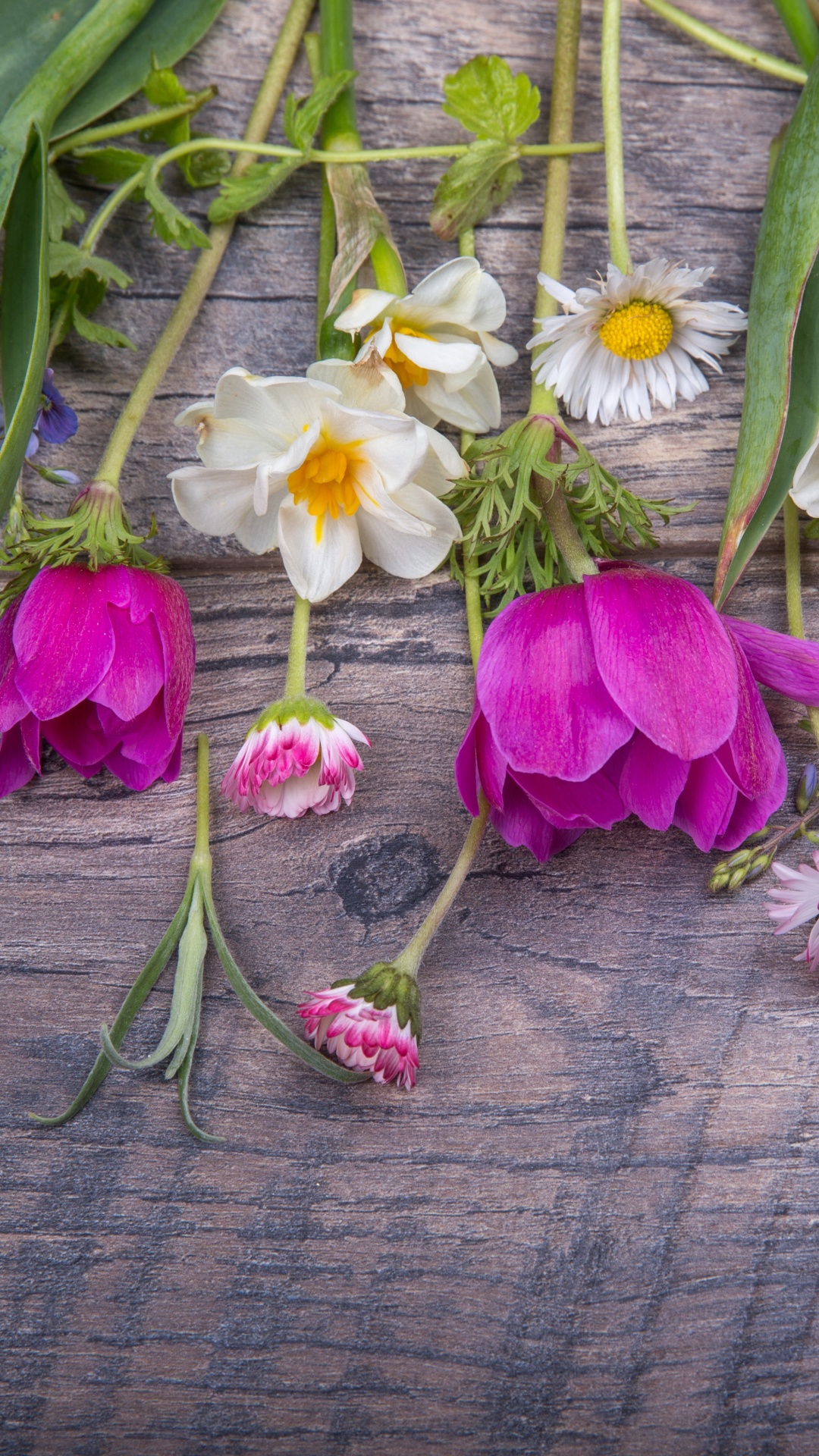 Flora, Blumenmuster, Schnittblumen, Veilchen, Rose. Wallpaper in 1080x1920 Resolution