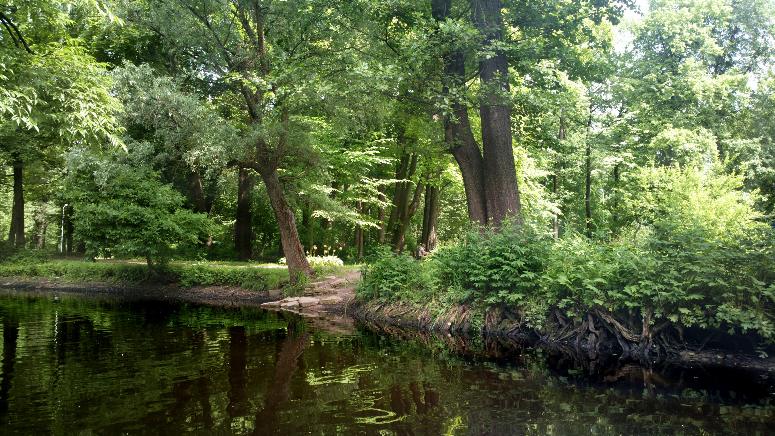Green Trees Beside River During Daytime. Wallpaper in 2560x1440 Resolution