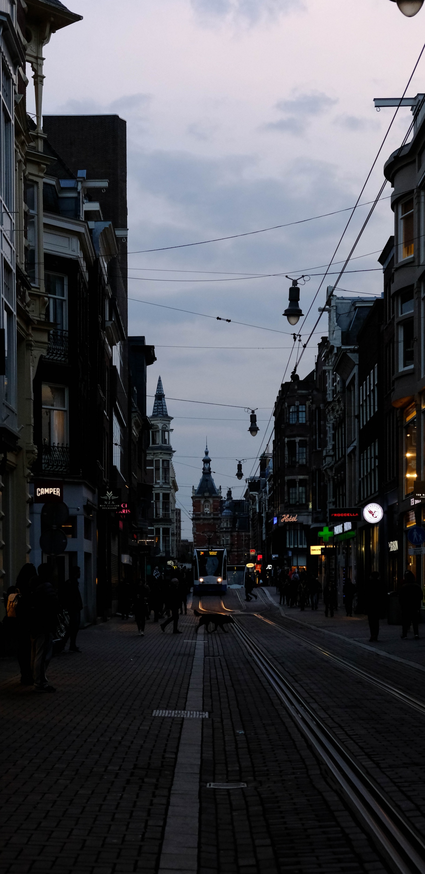 People Walking on Street During Daytime. Wallpaper in 1440x2960 Resolution