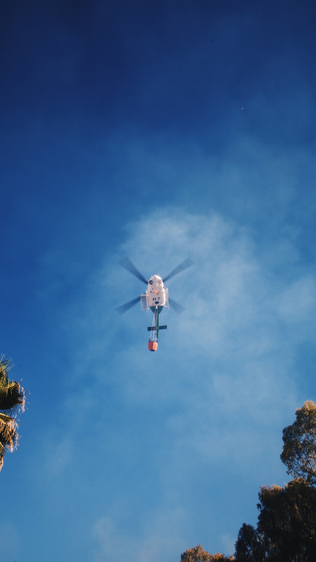 White and Red Bird Flying Under Blue Sky During Daytime. Wallpaper in 1080x1920 Resolution
