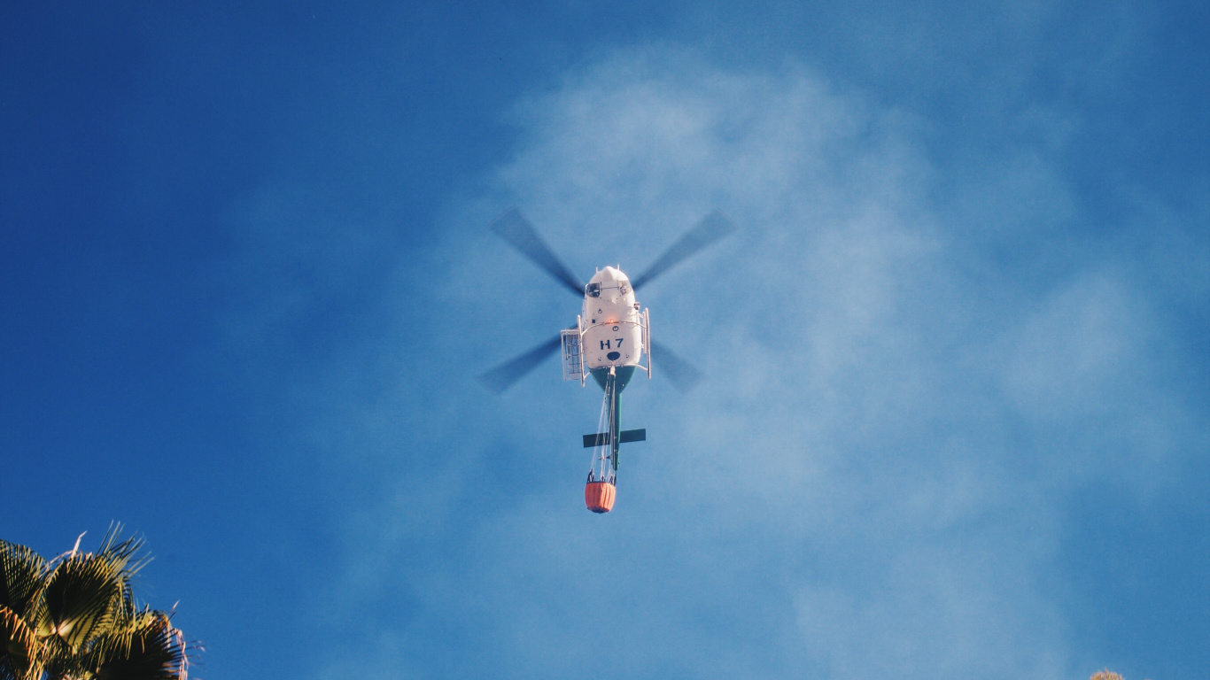 White and Red Bird Flying Under Blue Sky During Daytime. Wallpaper in 1366x768 Resolution