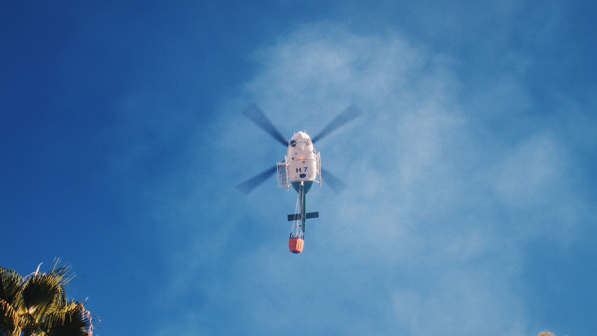 White and Red Bird Flying Under Blue Sky During Daytime. Wallpaper in 1920x1080 Resolution