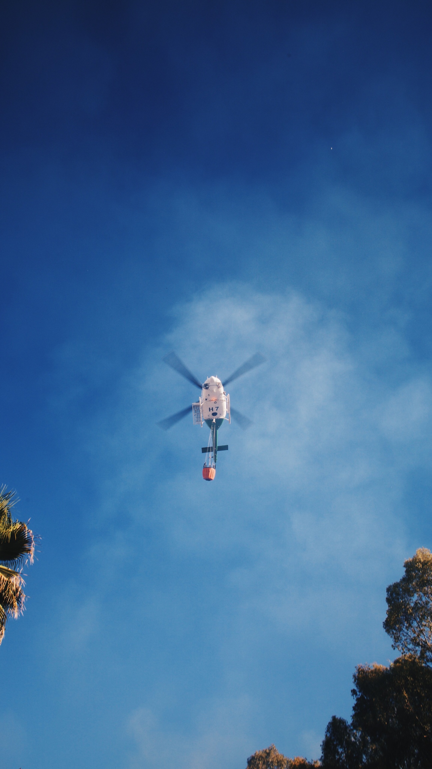 Pájaro Blanco y Rojo Volando Bajo un Cielo Azul Durante el Día. Wallpaper in 1440x2560 Resolution