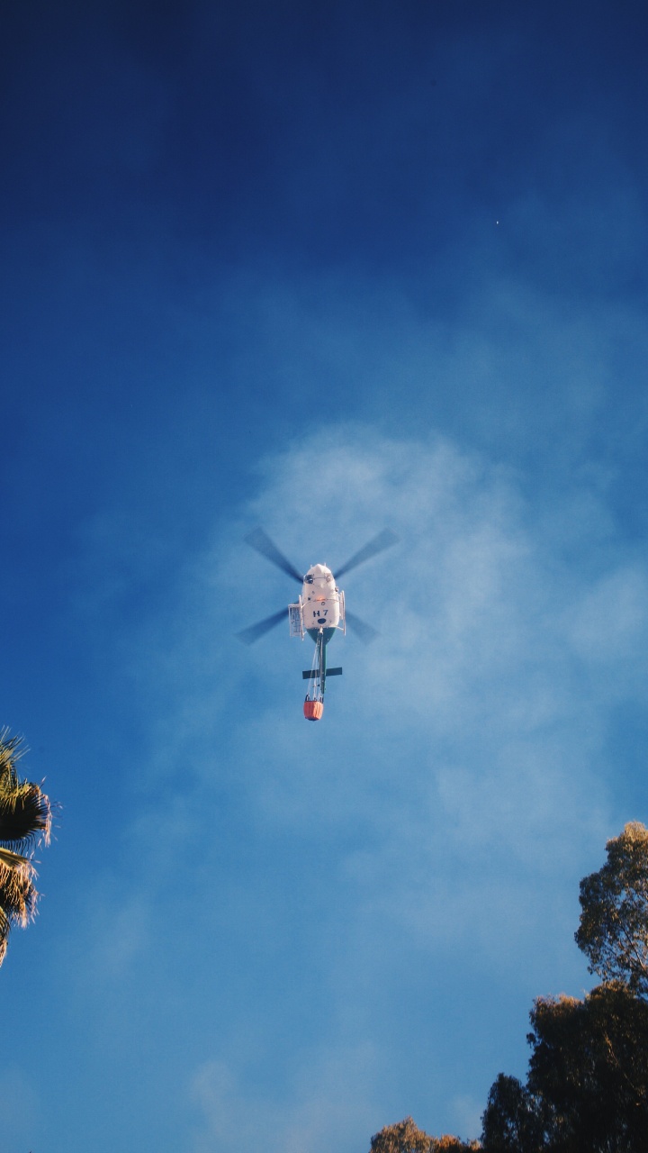 Pájaro Blanco y Rojo Volando Bajo un Cielo Azul Durante el Día. Wallpaper in 720x1280 Resolution
