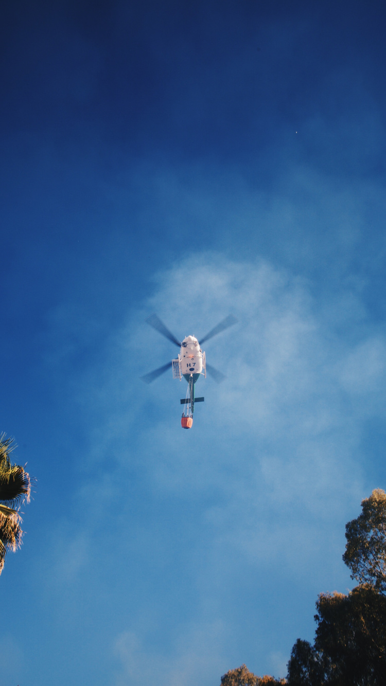 Pájaro Blanco y Rojo Volando Bajo un Cielo Azul Durante el Día. Wallpaper in 750x1334 Resolution