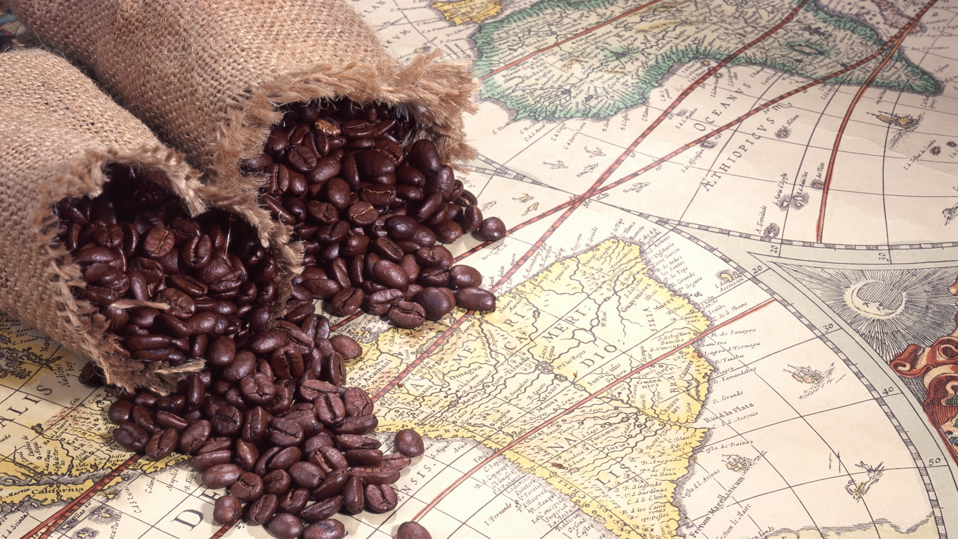 Brown Coffee Beans on White and Blue Textile. Wallpaper in 1920x1080 Resolution