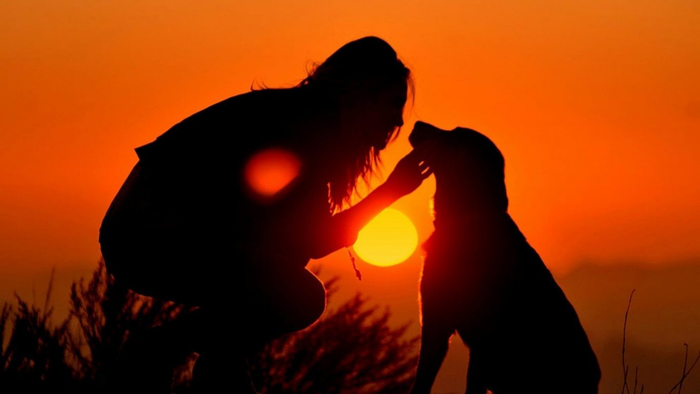 Sonnenuntergang, Sonnenaufgang, Abend, Sonnenlicht, Liebe. Wallpaper in 1366x768 Resolution