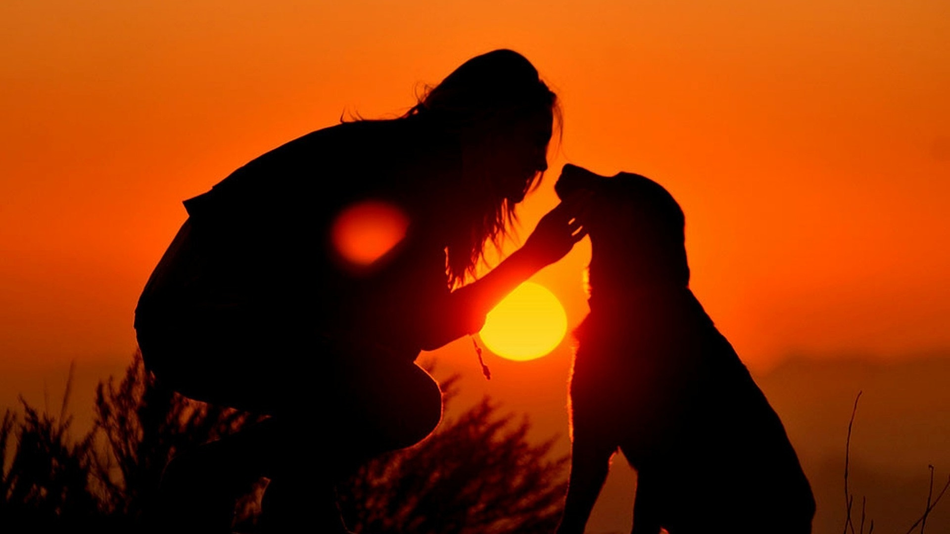 Sunset, Sunrise, Evening, Animal, Sunlight. Wallpaper in 1920x1080 Resolution