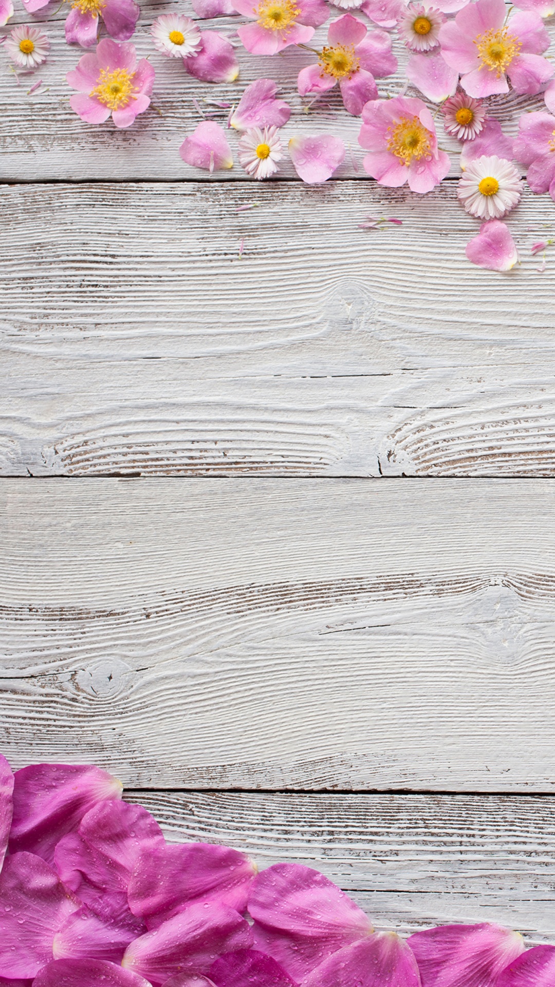 Purple and White Flowers on Gray Wooden Surface. Wallpaper in 1080x1920 Resolution