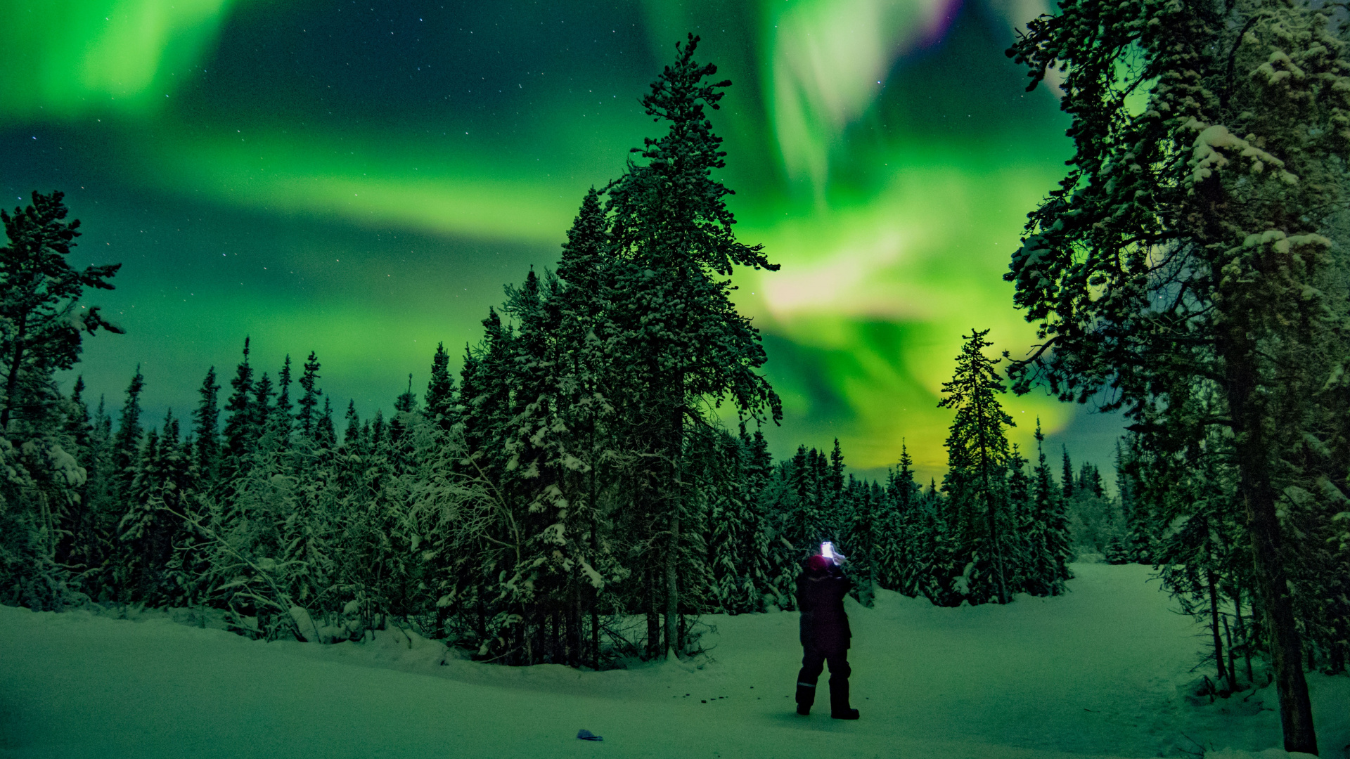 Las Luces Del Norte, Yellowknife, Aurora, Ambiente, Verde. Wallpaper in 1920x1080 Resolution