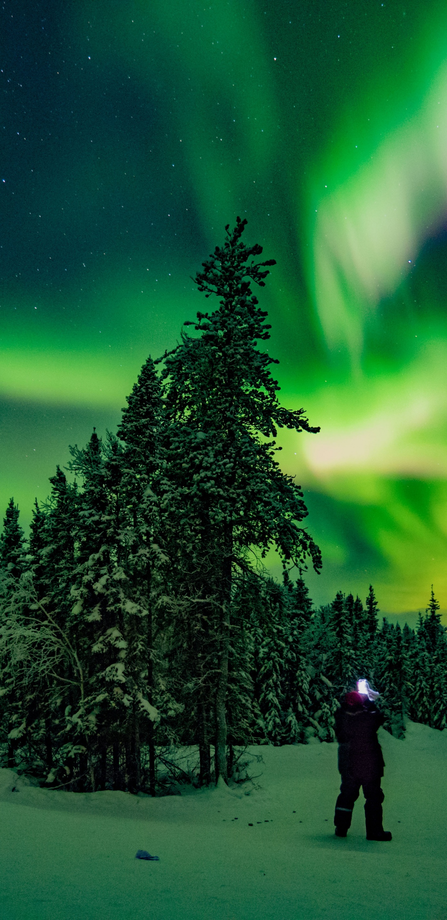 Les Lumières Du Nord, Yellowknife, Aurora, Atmosphère, Green. Wallpaper in 1440x2960 Resolution