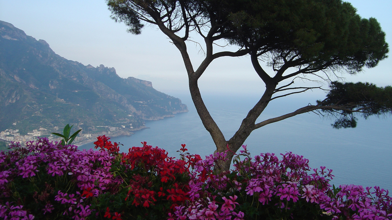 Árbol Verde en la Montaña Cerca Del Cuerpo de Agua Durante el Día. Wallpaper in 1366x768 Resolution