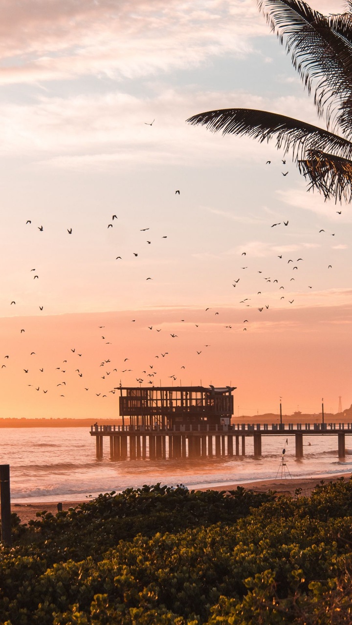 Affiche du Film., Eau, Oiseau, Lumière, Afterglow. Wallpaper in 720x1280 Resolution